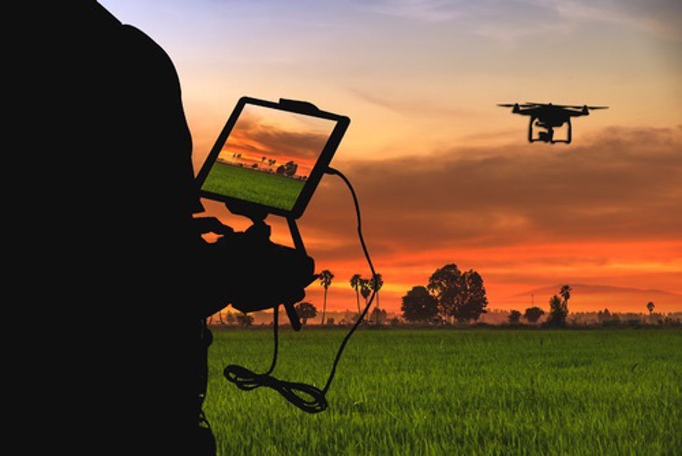 Archivo - Ejemplo de digitalización agrícola