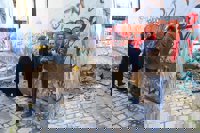 Cerradas tres aulas de un colegio de Jerez tras derrumbarse parte de un inmueble contiguo en el centro