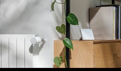 notibrasil sociedade