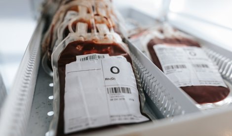 notibrasil sociedade