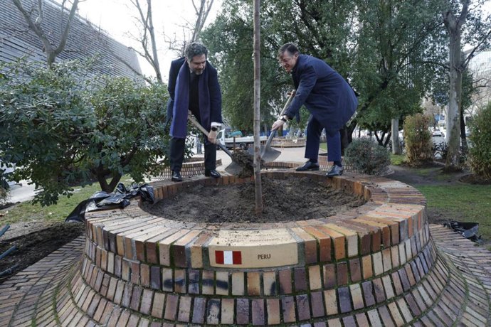 El árbol molle, símbolo de Perú, vuelve a los jardines del Mundial
