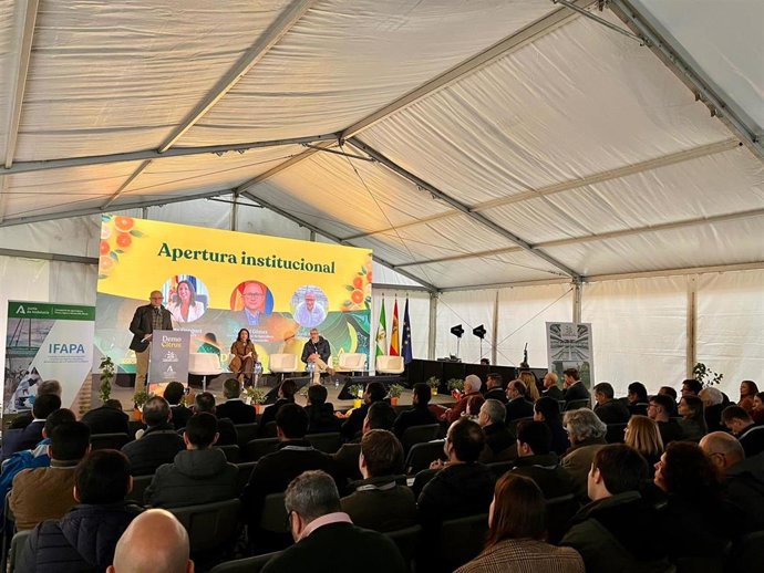 Archivo - Sevilla.-Ifapa y Agromillora reúnen en Alcalá del Río a más de 500 profesionales del sector de cítricos en DemoCitrus 