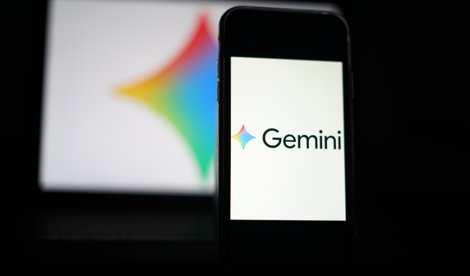 notibrasil sociedade