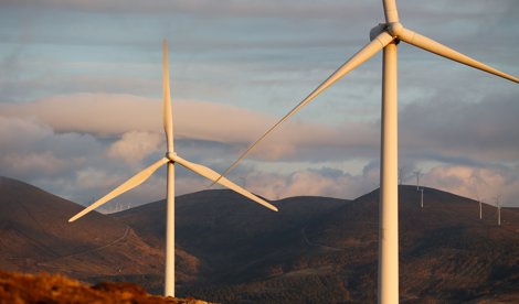 notibrasil sociedade