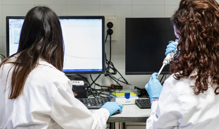 notibrasil sociedade