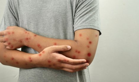 notibrasil sociedade