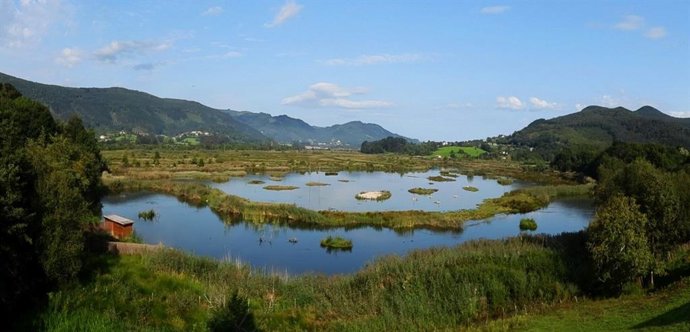 Archivo - Urdaibaiko padurak