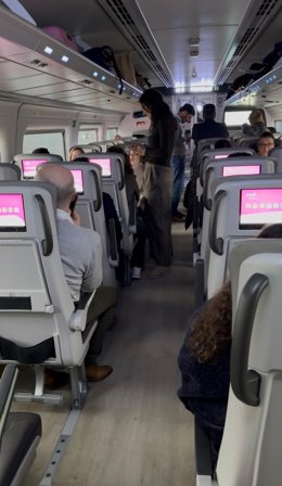 Imagen de uno de los trenes detenidos por el temporal.
