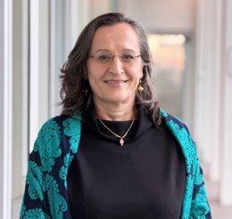 notibrasil sociedade