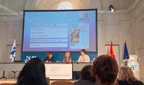 notibrasil sociedade