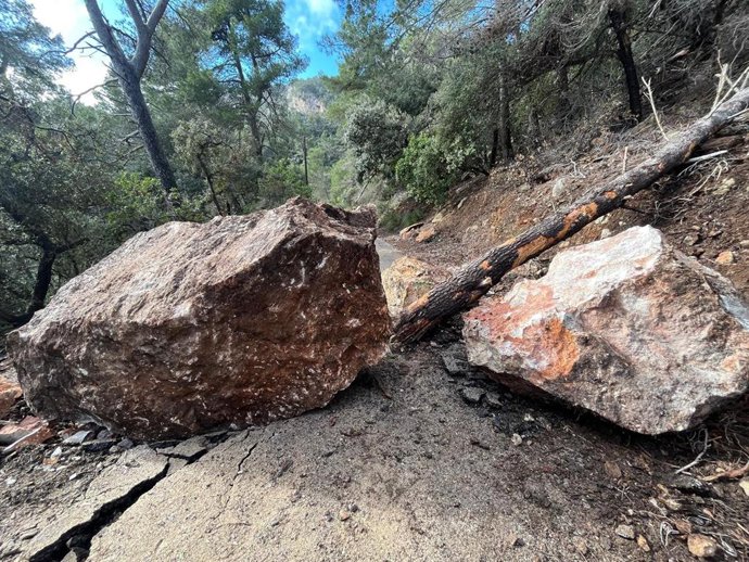 Desprendimiento de rocas y árboles en Esporles