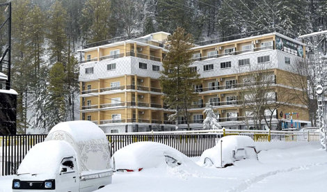 notibrasil sociedade