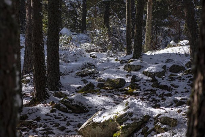 Paisaje nevado en La Barranca, en Navacerrada, Madrid