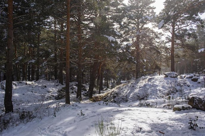 Paisaje nevado, en una foto de archivo