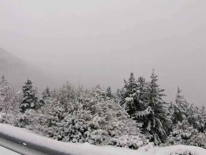 Nieve y frío asolan hoy la Ibérica riojana