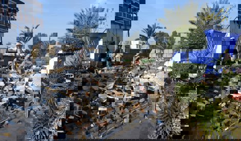 notibrasil sociedade