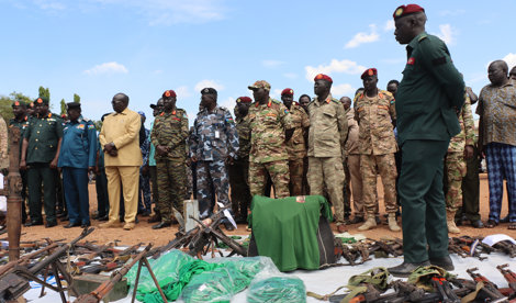 notibrasil sociedade