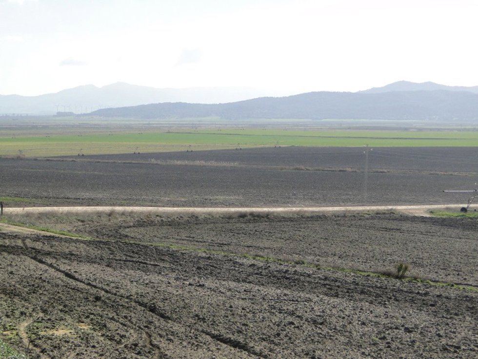 Archivo - Terrenos de la desecada laguna de La Janda