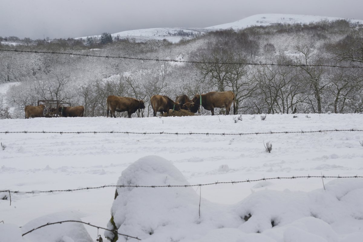 La borrasca Ingrid dejará este domingo en la Península lluvias, nieve y nivel rojo por oleaje en cuatro comunidades