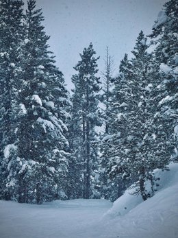 Pista Pilonas en la estación de esquí de Aramón Cerler este sábado 24 de enero.