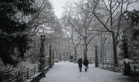 notibrasil sociedade