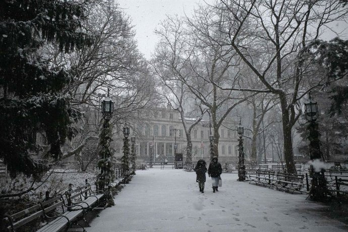 17 de janeiro de 2026, Nova Iorque, Nova Iorque, EUA: Sob uma neve que cai, pedestres caminham no City Hall Park, no Centro Cívico de Lower Manhattan.