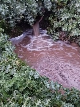 Vertidos ilegales de purines en el entorno del río Guadalix por la actividad ganadera en la zona de Miraflores, Guadalix de la Sierra y Navalafuente.