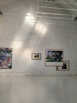 Exposición del artista murciano José Quintanilla