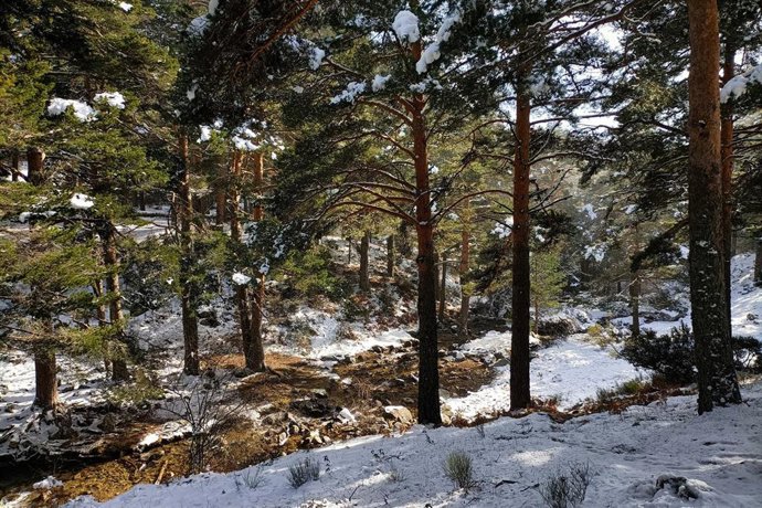 Archivo.- Paisaje nevado en La Barranca., en Navacerrada, Madrid