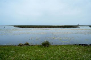 Archivo - Imágen del Parque Nacional de Doñana. 