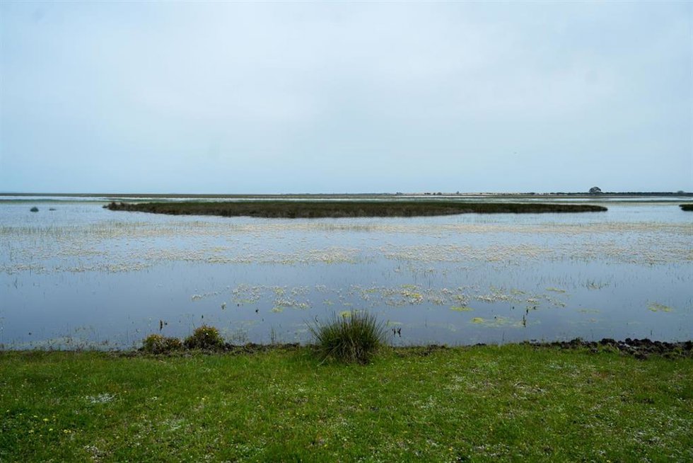 Archivo - Imágen del Parque Nacional de Doñana. 