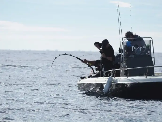 Pescadores recreativos en pleno combate con un atún rojo durante la jornada de marcaje científico del Scientific Angler Tagging Tour en l’Ametlla de Mar (Tarragona).