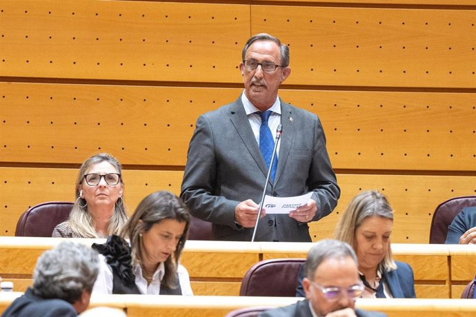 Archivo - José Manuel Rodríguez, 'Lito', senador del PP.