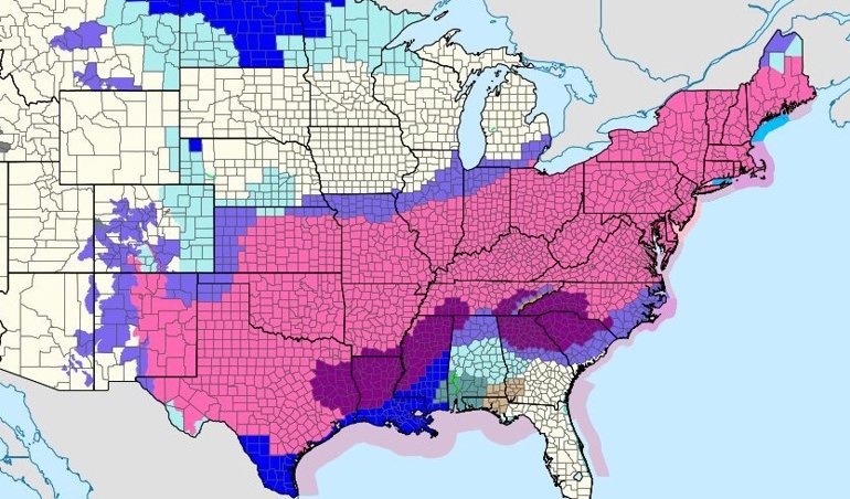 notibrasil sociedade
