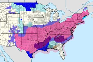 Mapa de zones en alerta per la tempesta hivernal publicat pel Servei Meteorològic d'Estats Units