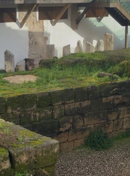 Hacemos Córdoba critica que no se actúe ante el crecimiento de vegetación en el Templo Romano.