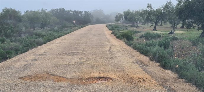 Camino rural en Castilblanco.