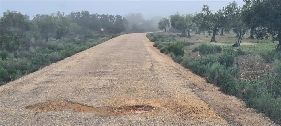 Camino rural en Castilblanco.