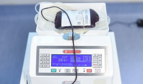 notibrasil sociedade