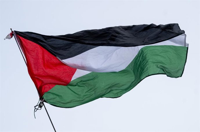 Archivo - Bandera palestina 