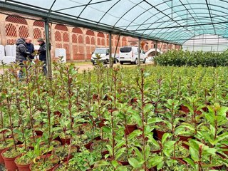 Vivero de la Diputación de Cáceres situado en la finca Haza de la Concepción en Malpartida de Plasencia