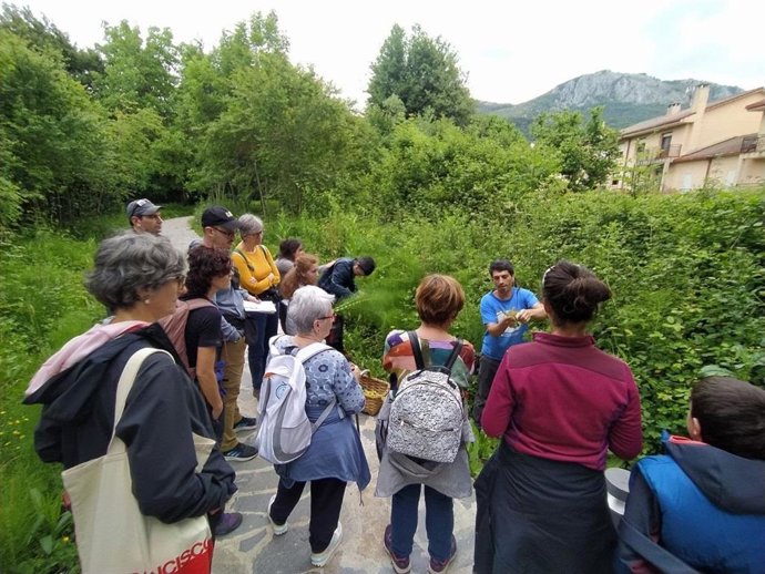 Actividad ambiental para escolares