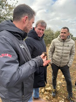 Suárez (C) en la visita a la plantación de trufa negra de Tórtoles de Esgueva.