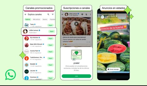 notibrasil sociedade