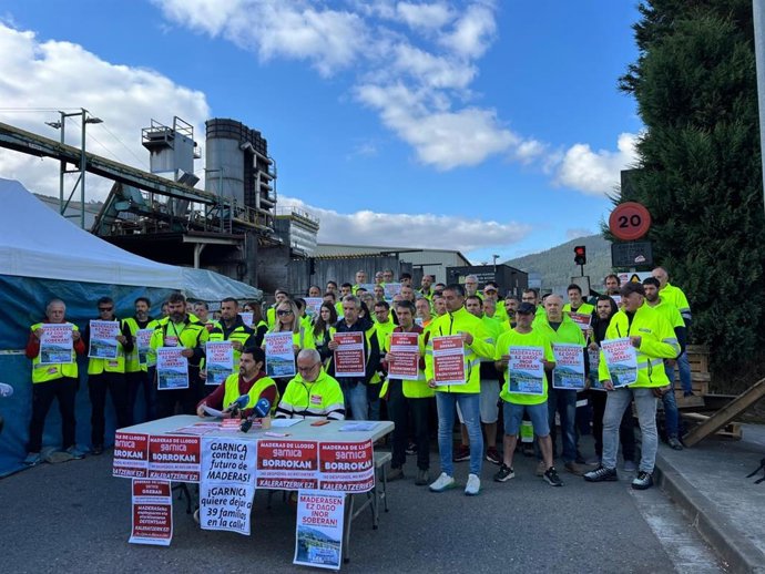 Archivo - Comité de Maderas de Llodio 