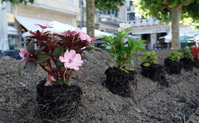 Jardines en Pamplona.