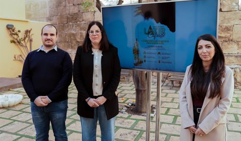 Diputación de Almería