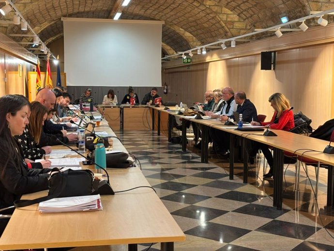 A reunión ha tenido lugar esta mañana en la Sala Hermanos Bayeu.