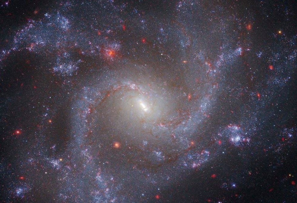 Archivo - Universo 
