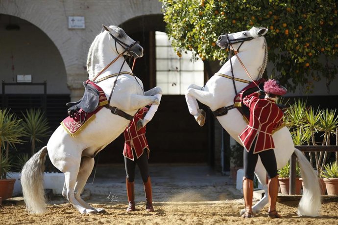 Archivo - Espectáculo ecuestre.
